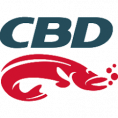 CBD