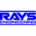 Rays