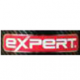 Expert