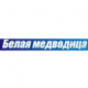 Белая медведица