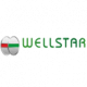 WELLSTAR