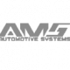 AMS