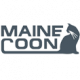 MAINE COON